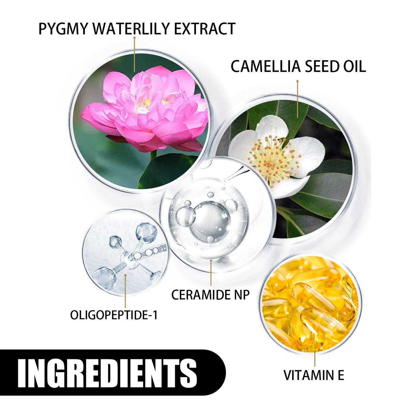 Brightening & Whitening Moisturizing Cream
