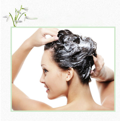 Polygonum Ginseng Nourishing Soap
