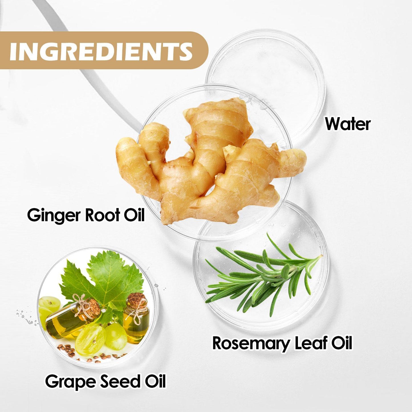 EELHOE Beard Oil  Strengthen Roots, Soften & Add Healthy Shine