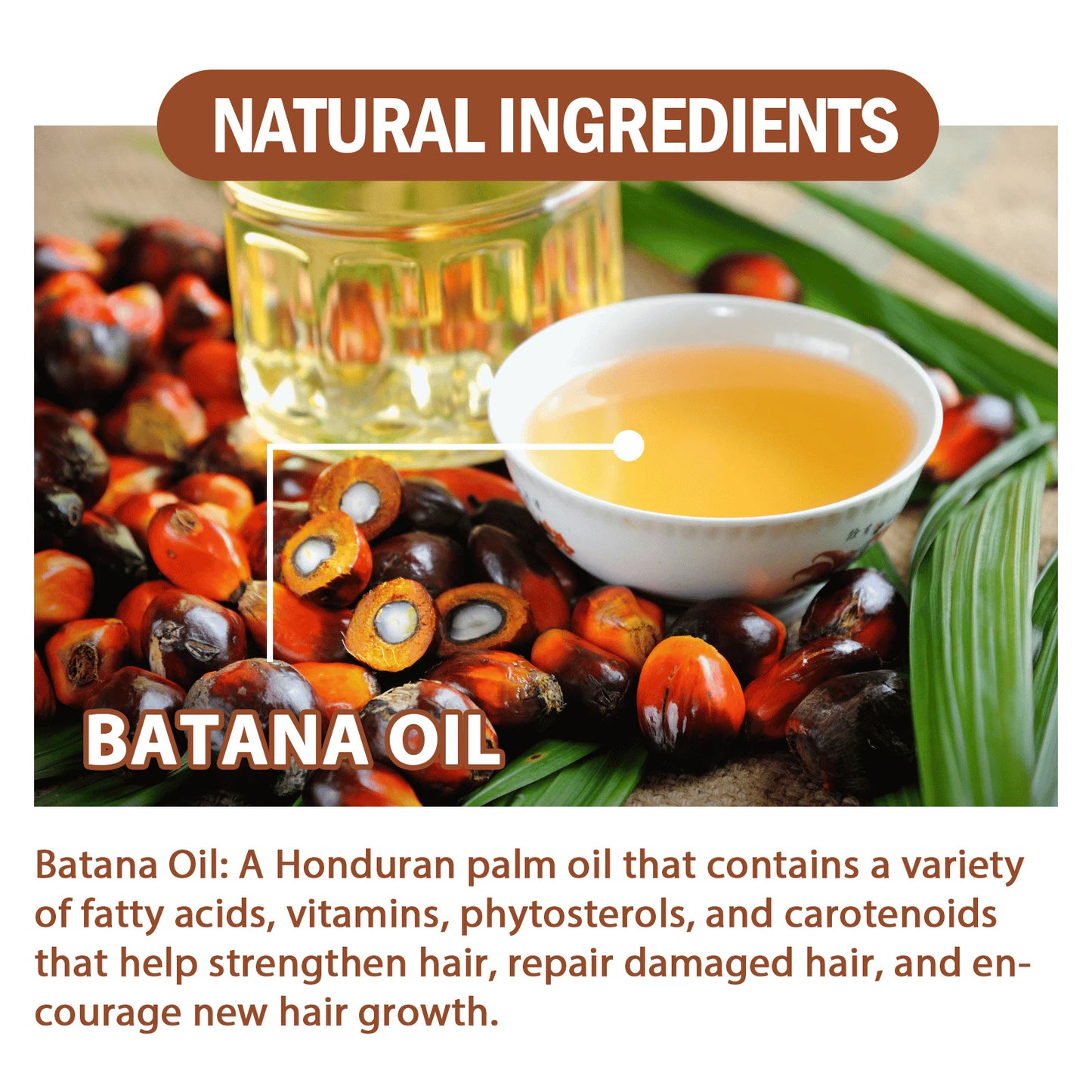 Batana Oil Hair Conditioner  Repair, Strengthen & Shine